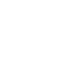 official icon-1