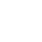 official icon-2